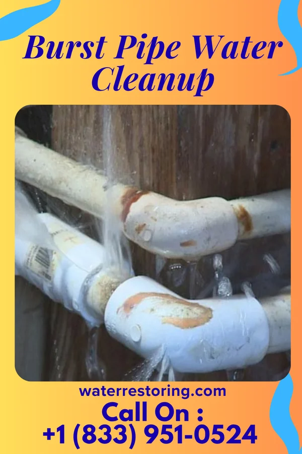 Burst Pipe Water Cleanup in Wheatcroft, KY
