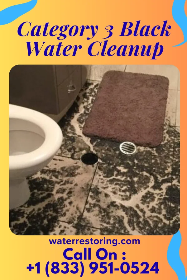 Category 3 Black Water Cleanup in Wheatcroft, KY