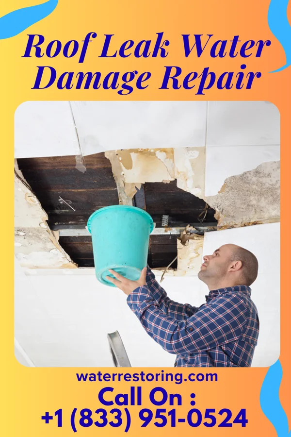 Roof Leak Water Damage Repair in Wheatcroft, KY