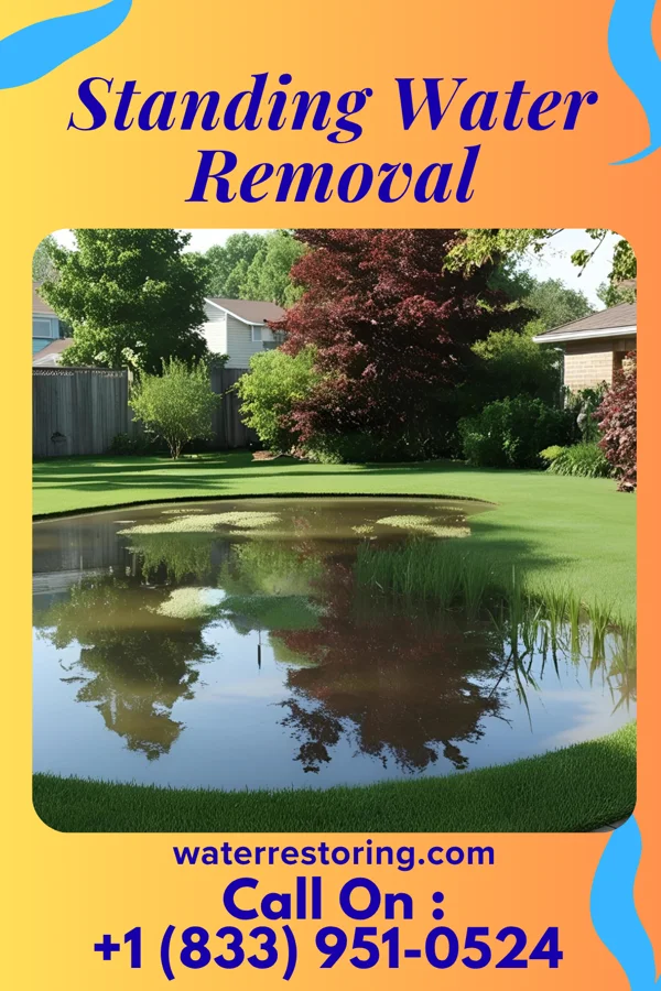 Standing Water Removal in Wheatcroft, KY